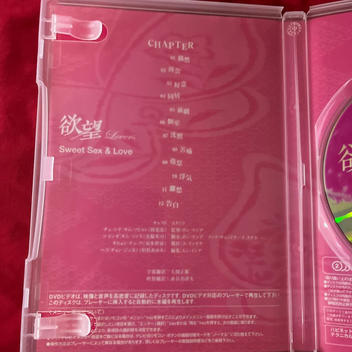 セル盤　欲望 Lovers DVD 激レア　韓国映画　SKYキャッスル　の　キム・ソヒョン　韓流　