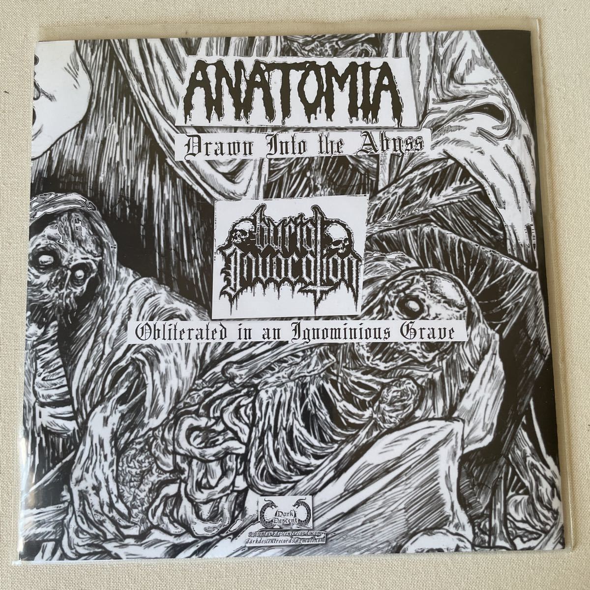 ANATOMIA / BURIAL INVOCATION - decomposing serenades 7”EP デスメタル death metal_画像2