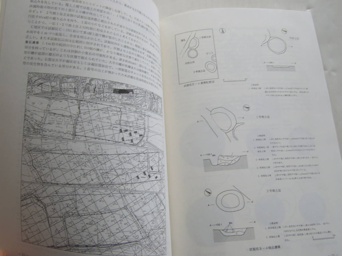 雑誌　八王子市 埋蔵文化財 年報 平成11年度_画像5