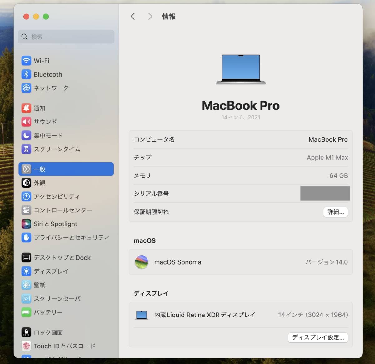 MacBook Pro 14-inch M1Max 64GB 2TB 日本語KB シルバー 中古美品_画像5