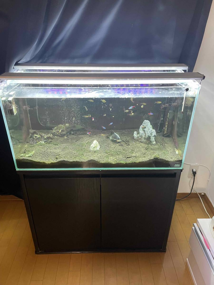 引取限定】ADA水槽フルセット 120×50×50 - 魚用品/水草