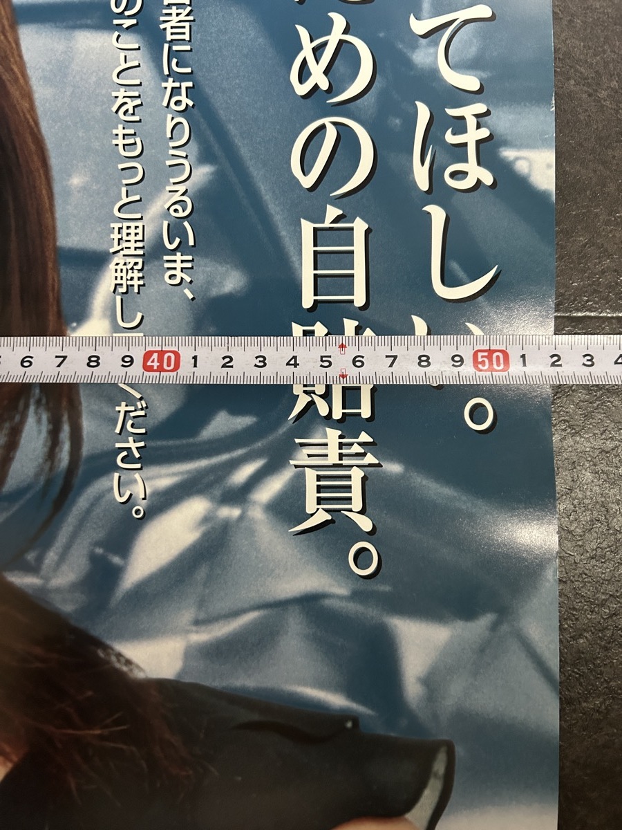 『深田恭子 ポスター 国土交通省 自賠責保険・共済』の画像9