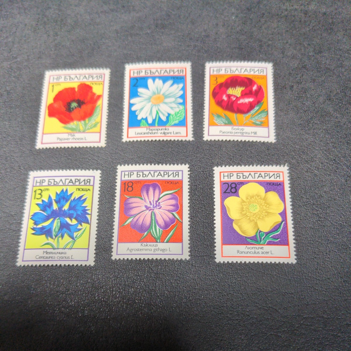 ブルガリア 花切手　6種　切手未使用　ヒンジ跡 なし_画像1