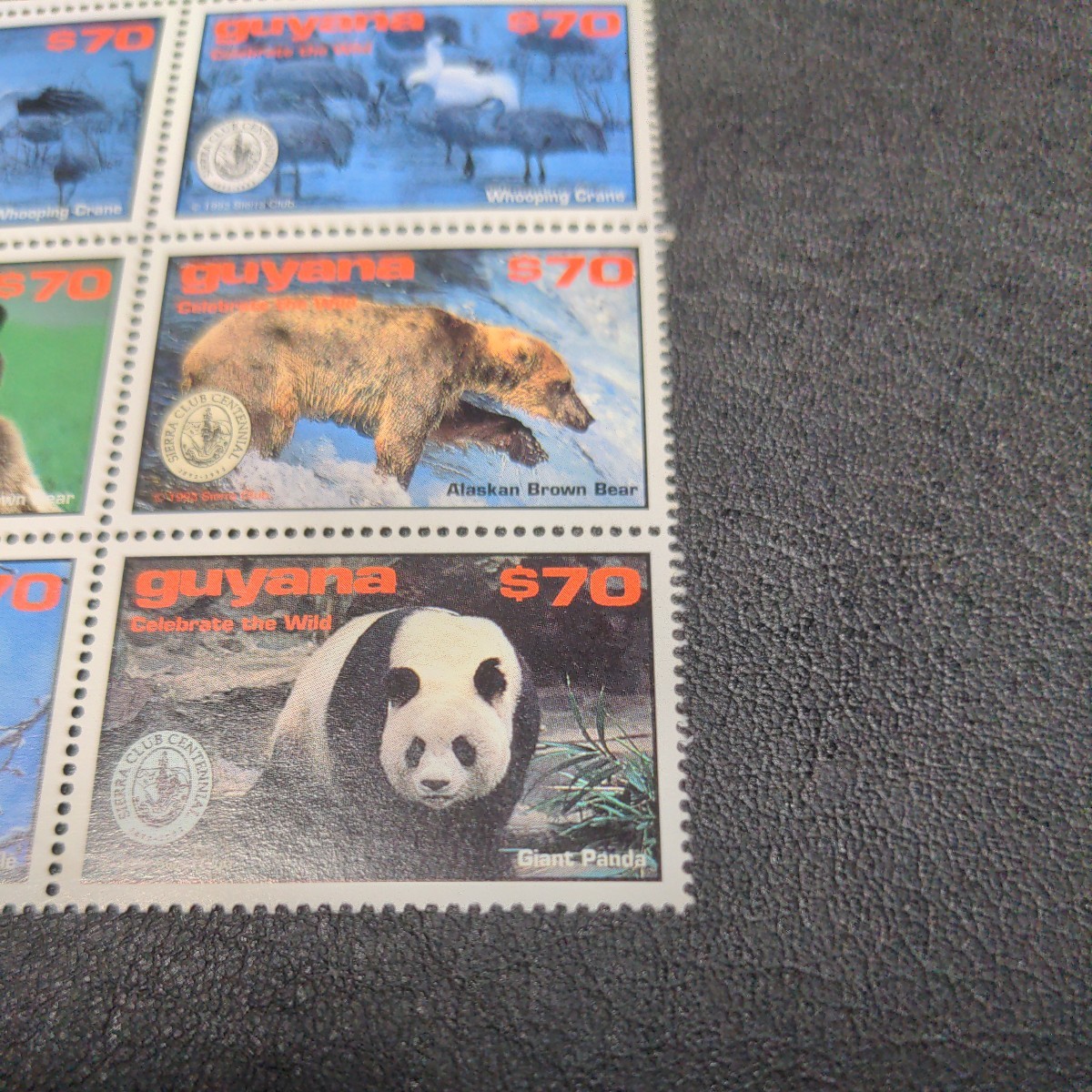 南米ガイアナの切手　「野性動物」　8種　切手未使用　ヒンジ跡 あり_画像5