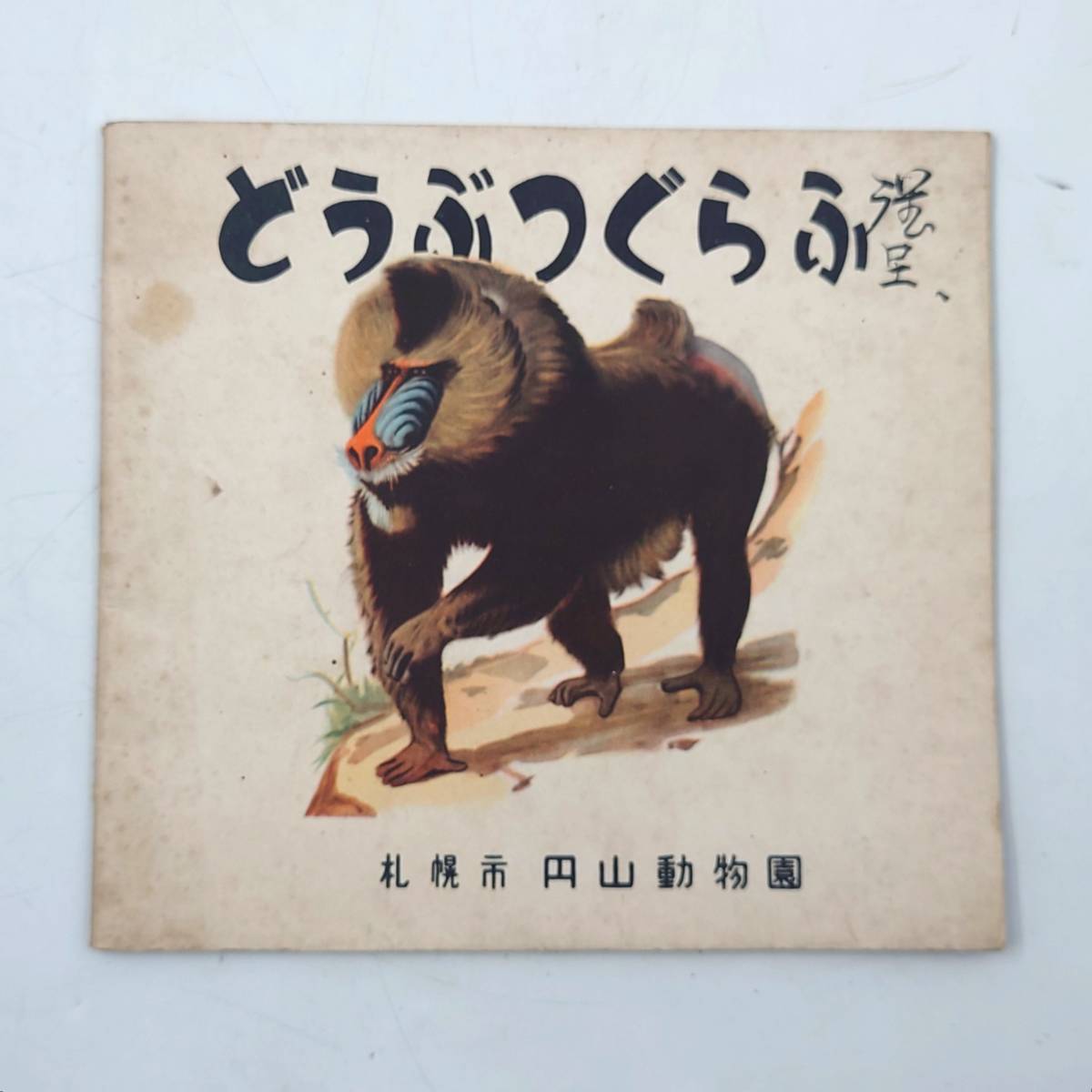 ★ 【珍品　超レア】 希少品？ 京濱鳥獣貿易 動物価格表 札幌 円山動物園 「どうぶつぐらふ」 昭和30年代 レトロ ★_画像7