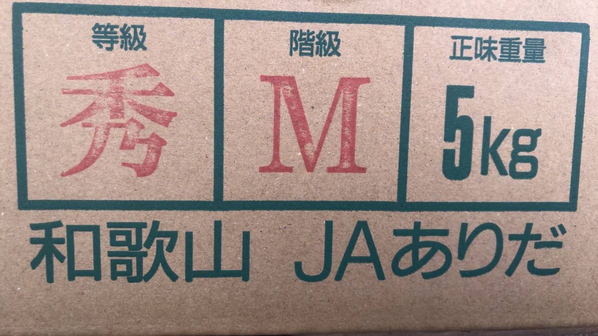 和歌山 有田 国産レモン 秀品 M以上 5kg (40~48個入)_画像5