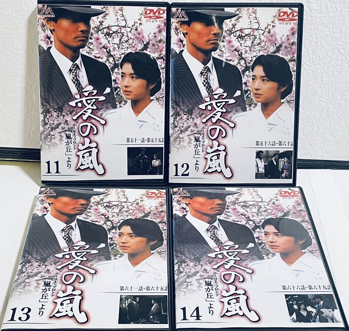 愛の嵐　【全14巻】　レンタル版DVD 全巻セット　田中美佐子　テレビドラマ