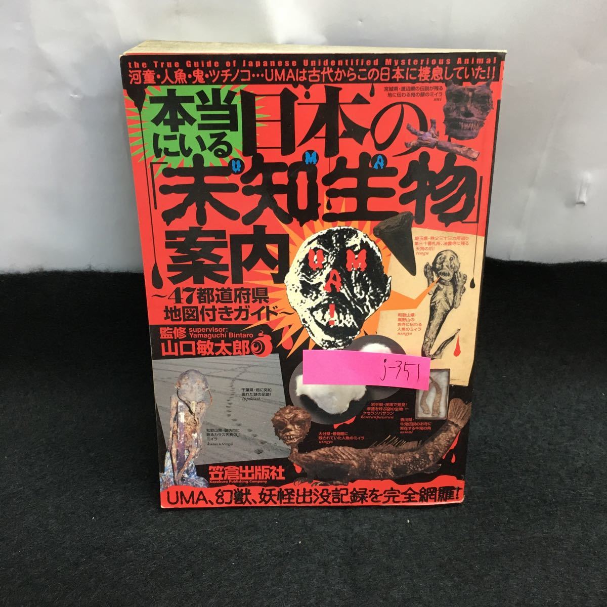 j-351 本当にいる日本の未知生物案内 監修・山口敏太郎 UMA 幻獣 妖怪出没記録を完全網羅2005年8月18日初版発行 笠倉出版社 ※8_画像1