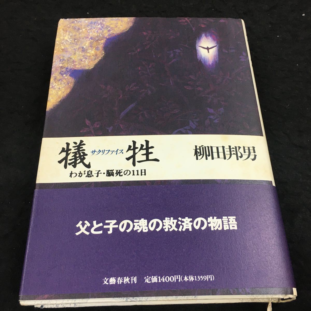 j-425 犠牲 サクリファイス わが息子・脳死の11日 柳田邦男 父と子の魂の救済の物語 その他 1995年9月20日 発行 ※8_画像1