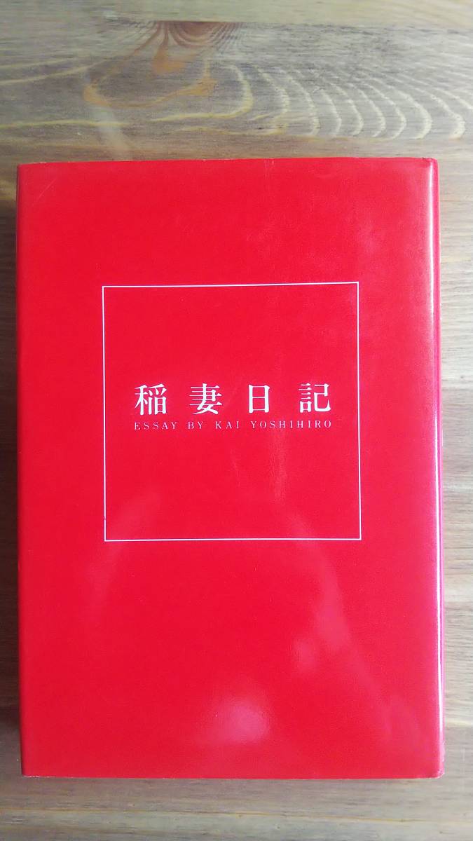 (T‐2913）　稲妻日記 甲斐よしひろスパーキング・エッセイ （単行本）　　　　　発行＝白夜書房