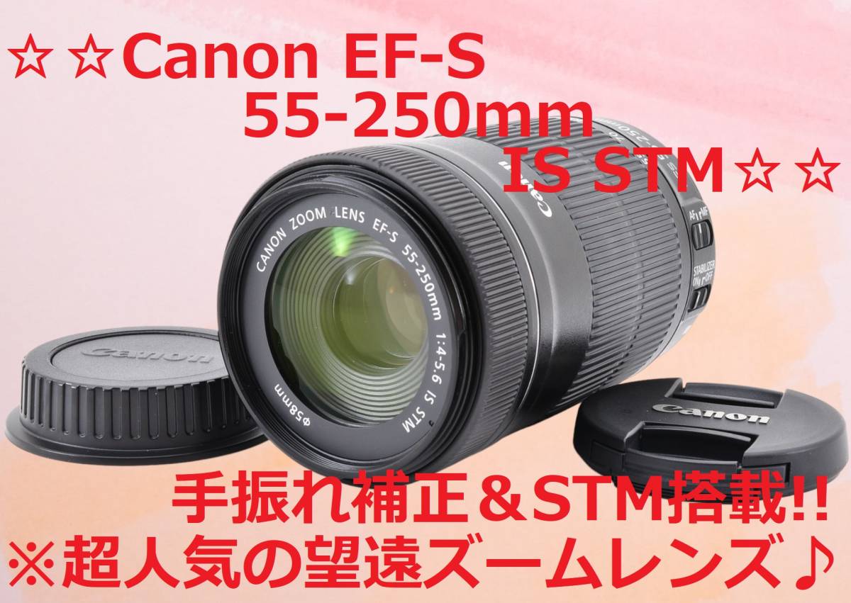 注目 美品 Canon #6225 STM IS 55-250mm EF-S キャノン キヤノン