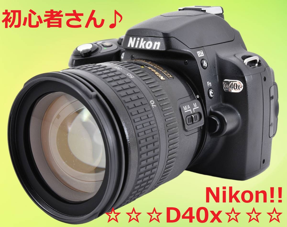 ショット数5673回♪ 標準ズームレンズセット Nikon D40X #6223