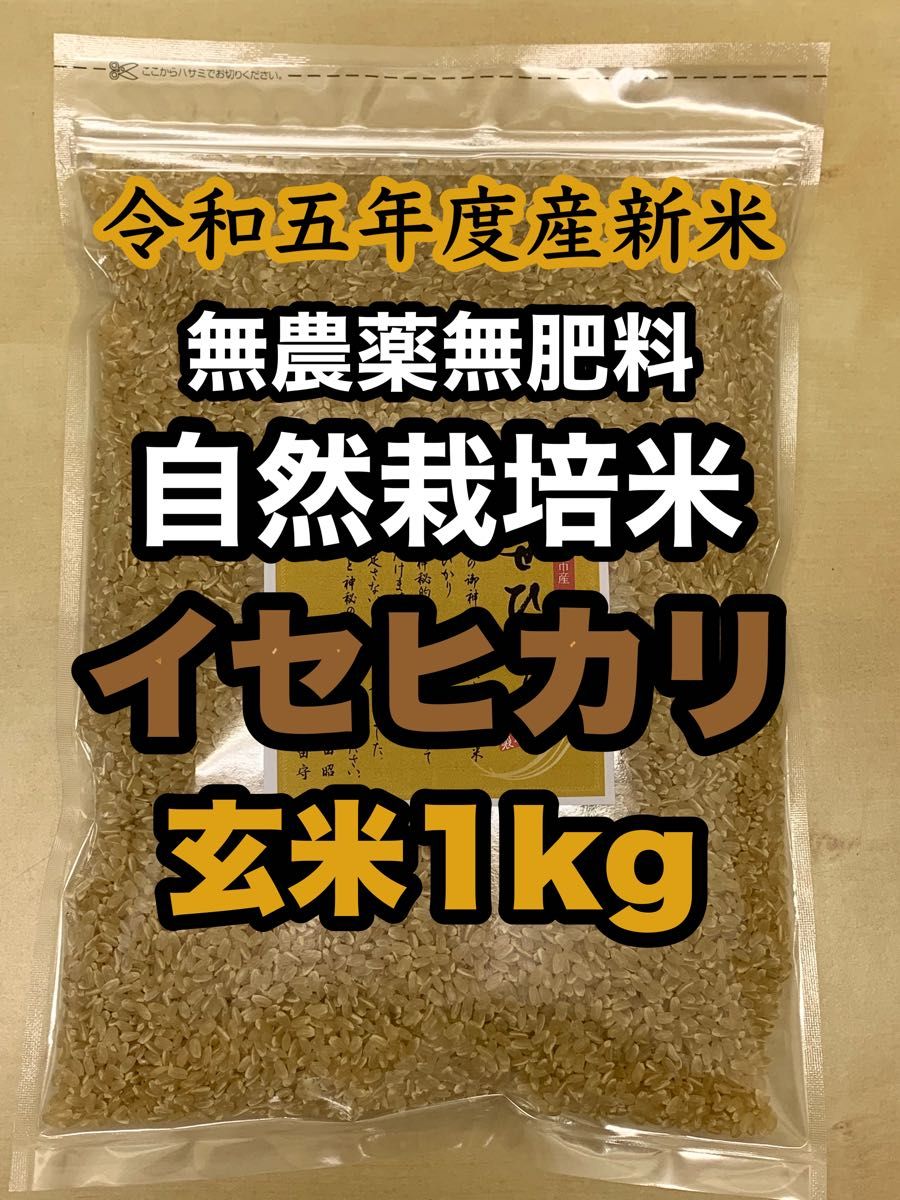 玄米1kg 新米 令和5年度兵庫県産 無農薬無施肥の自然栽培米 - 米