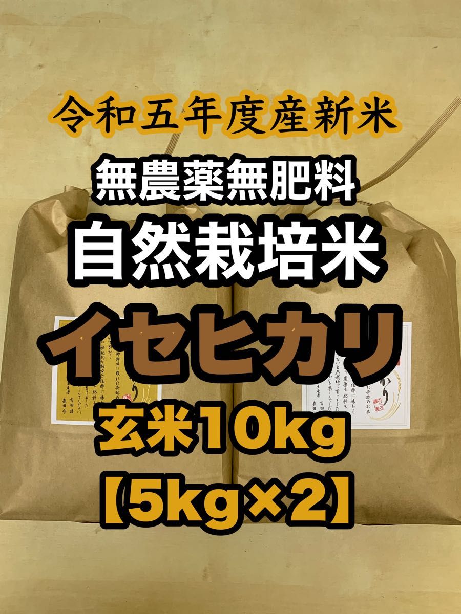 【イセヒカリ】玄米10kg 新米　令和5年度兵庫県産 無農薬無施肥の自然栽培米