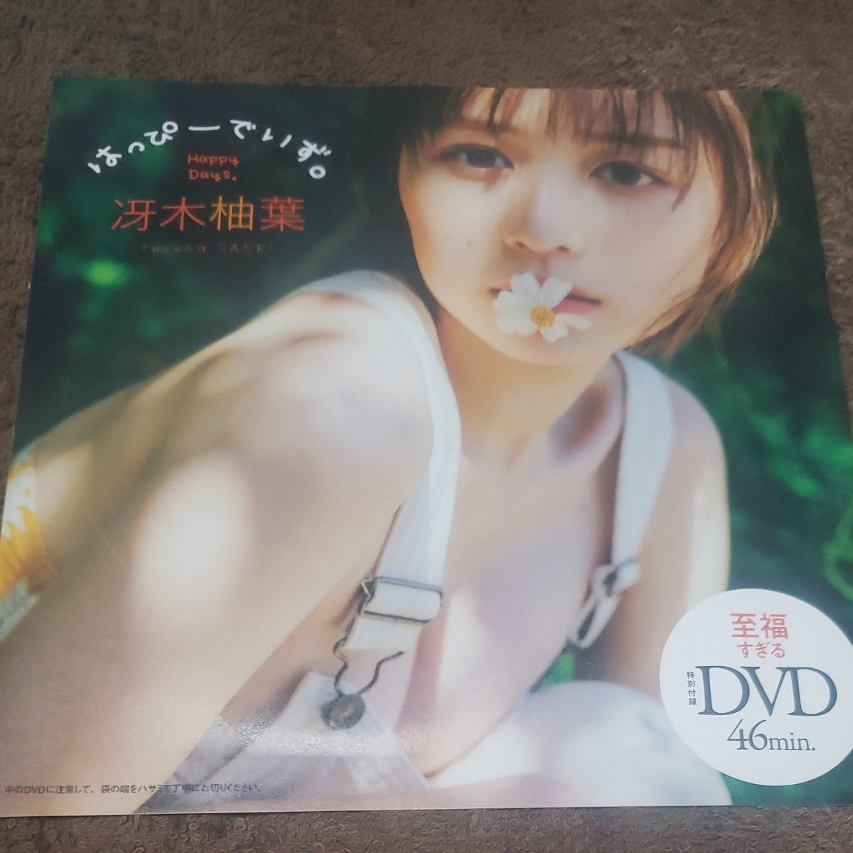 冴木柚葉 週刊プレイボーイ付録DVD