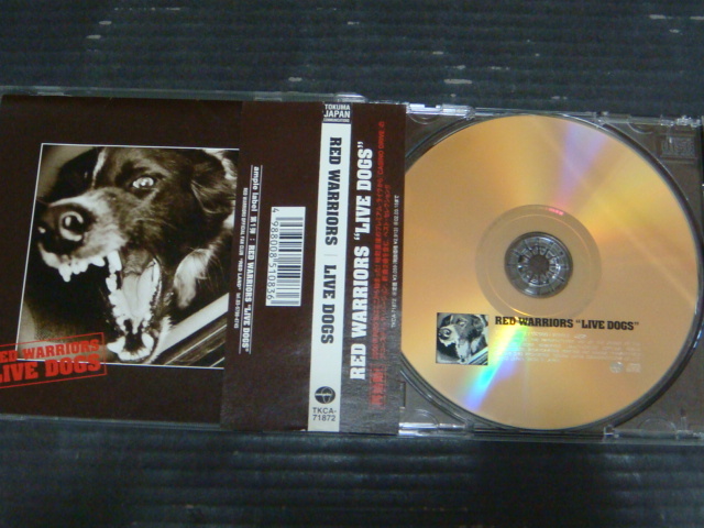 RED WARRIORS/レッド・ウォーリアーズ ライブ「LIVE DOGS」帯付き CD_画像2