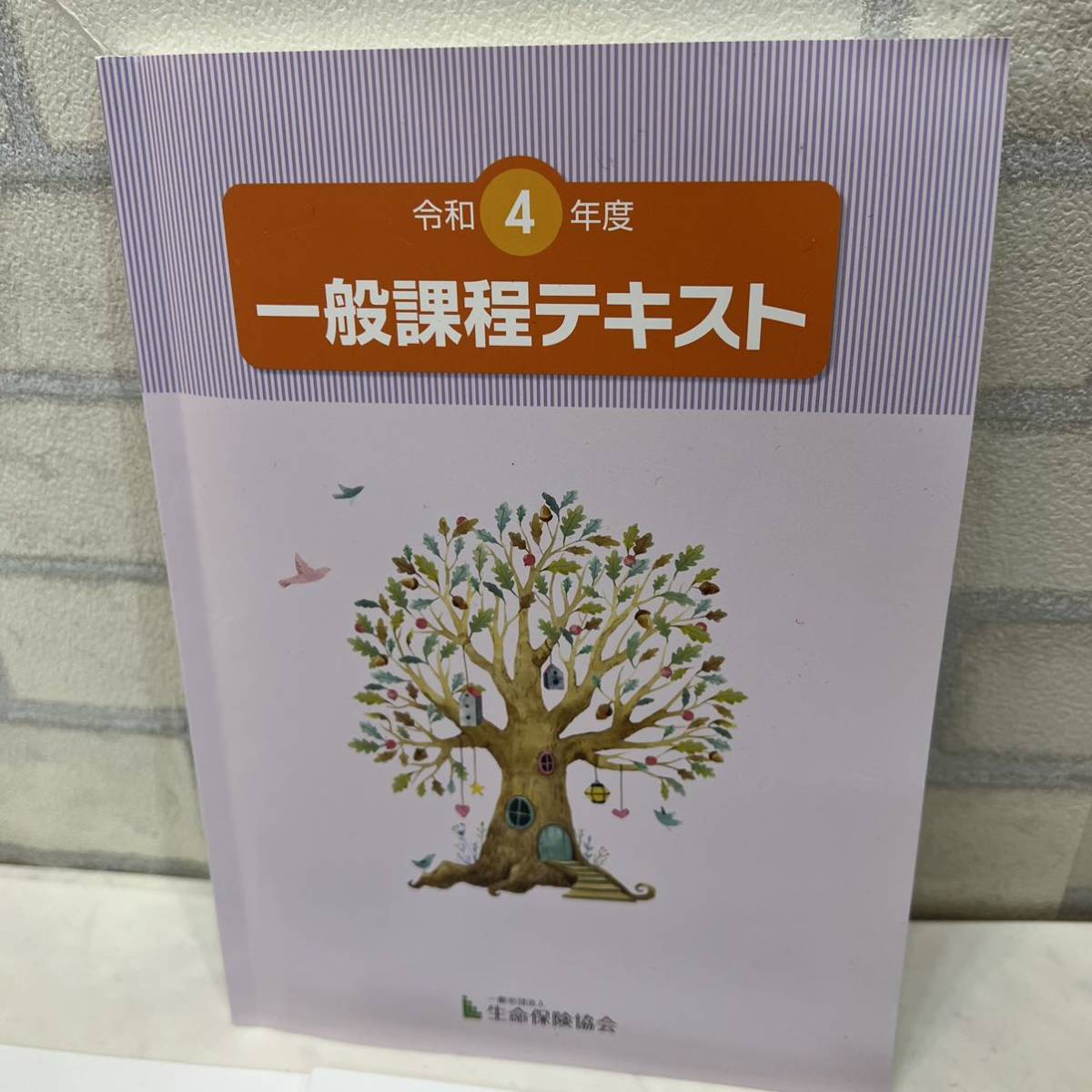 美品 令和4年度 一般課程テキスト 一般社団法人 生命保険協会 /生命保険一般課程試験 模擬テスト 第1回 第2回 第3回_画像2