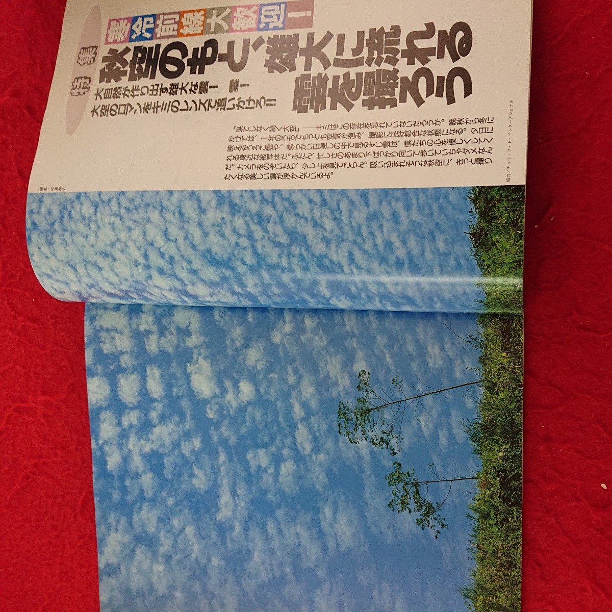 c-342 月刊キャパ 巻頭特集 「雲」の美しさを撮るテクニックのすべて かとうれいこ 細川ふみえ など 1991年発行 11月号 学研※9 _画像4