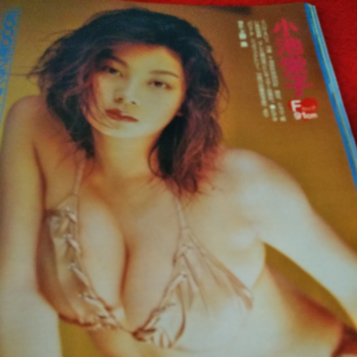 d-650　FRIDAY　1999年12月24日号　山田まりや　木内あきら　小池栄子　三谷友里恵　宮沢りえ　鶴田真由　星野仙一 ※9 _画像3