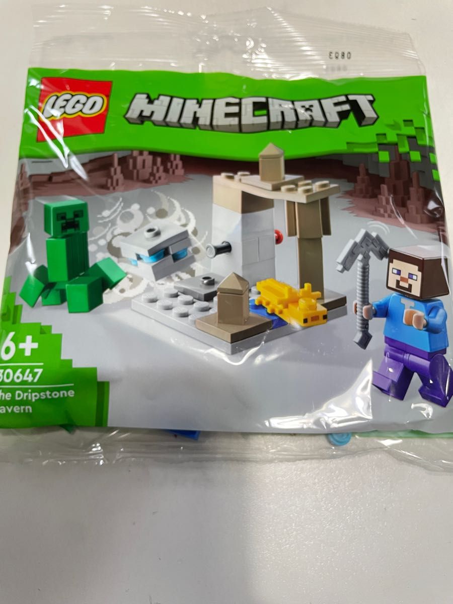 レゴ (LEGO) マインクラフト 鍾乳洞 ミニセット 30647 レゴマインクラフト Minecraft