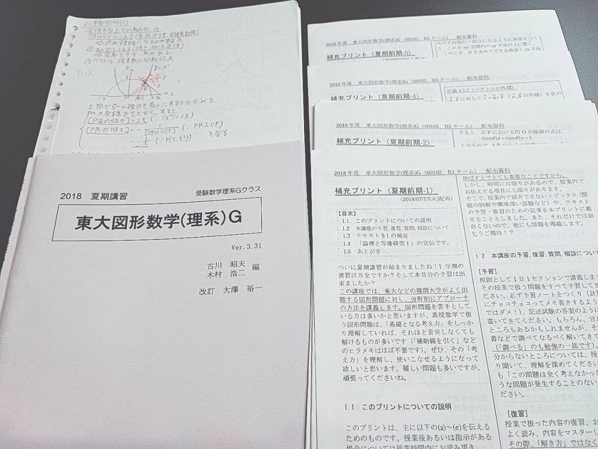 SEG　大澤先生　夏期　東大図形数学(理系)G　テキスト・プリント・ノートフルセット　上位講座　河合塾　駿台　鉄緑会　Z会　東進