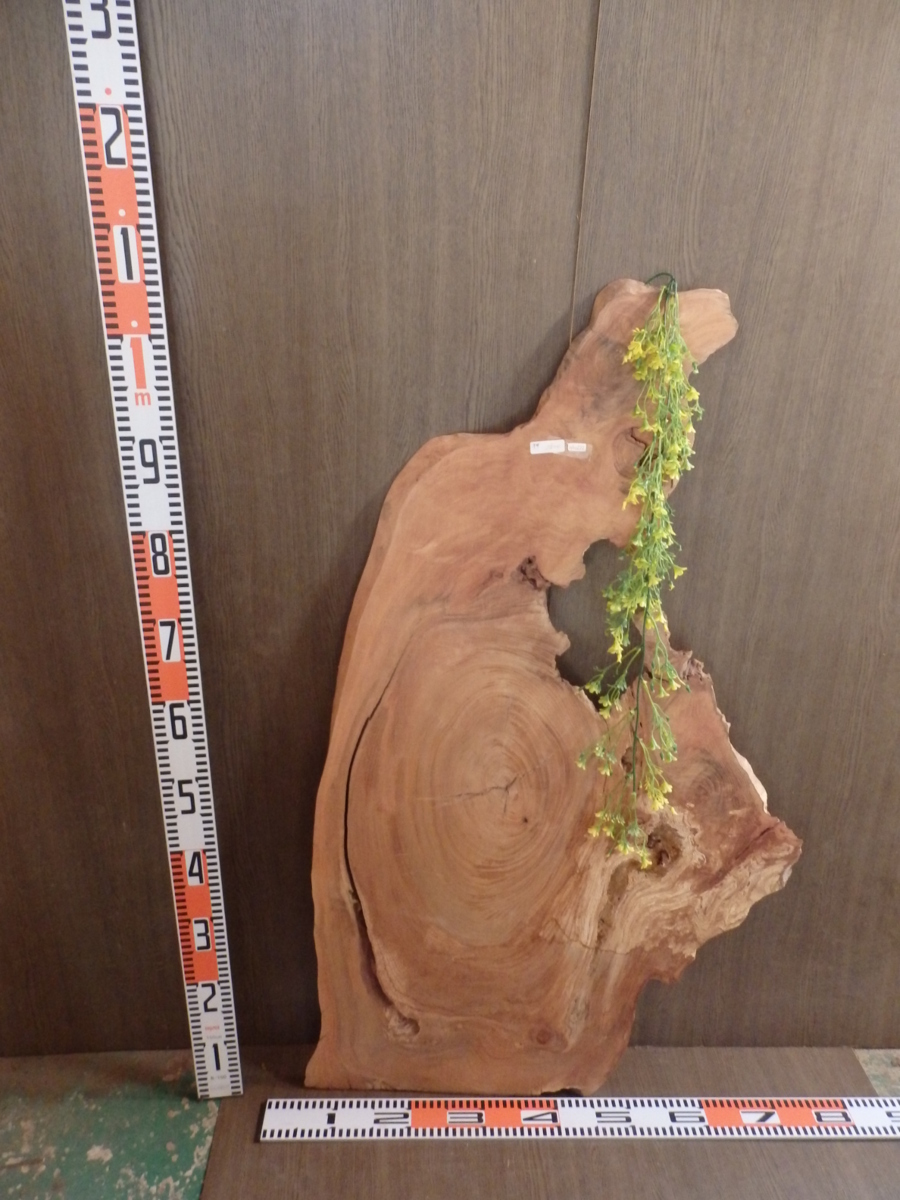 0100232 欅●1m4.5cm×61.5cm×厚2.5cm☆無垢板１枚板 木材 板 DIY 板材 天板 棚板 テーブル 看板 花台など種類豊富！