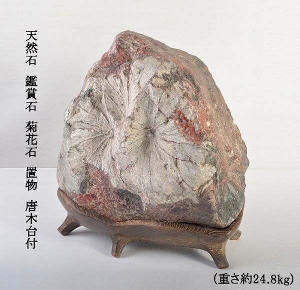 天然石 鑑賞石 菊花石 置物 重さ約24.8kg 唐木台付 古玩 FBMK-