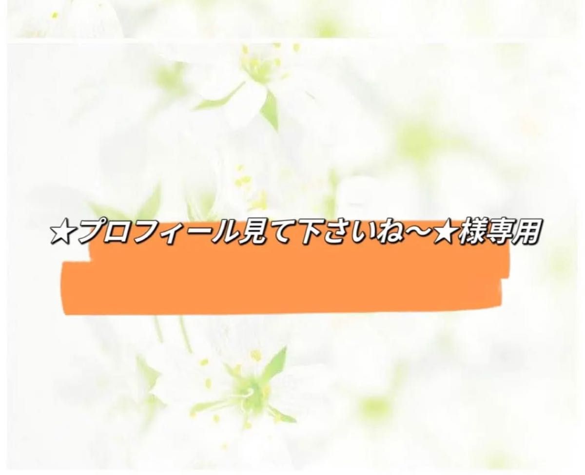 プロフィール見て下さいね~ 様専用ページ|PayPayフリマ