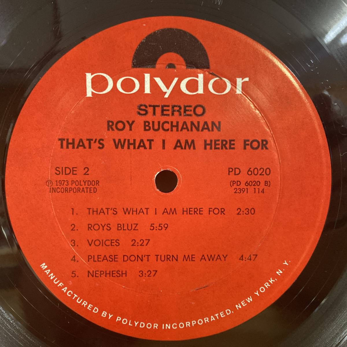 g63■【US盤/LP】Roy Buchanan ロイ・ブキャナン / That's What I Am Here For ● Polydor / PD 6020 / ギタリスト / ロック 231026_画像6