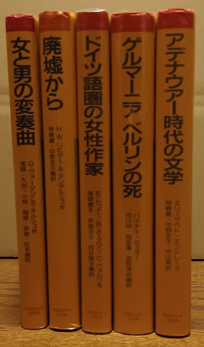 シリーズ現代ドイツ文学　全5冊　早稲田大学出版部_画像1