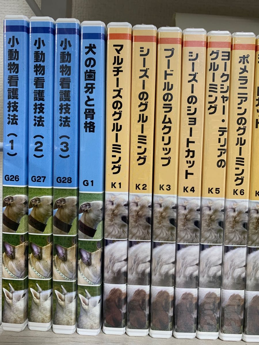 トリマー講座 DVD29本 本一冊 - 犬用品