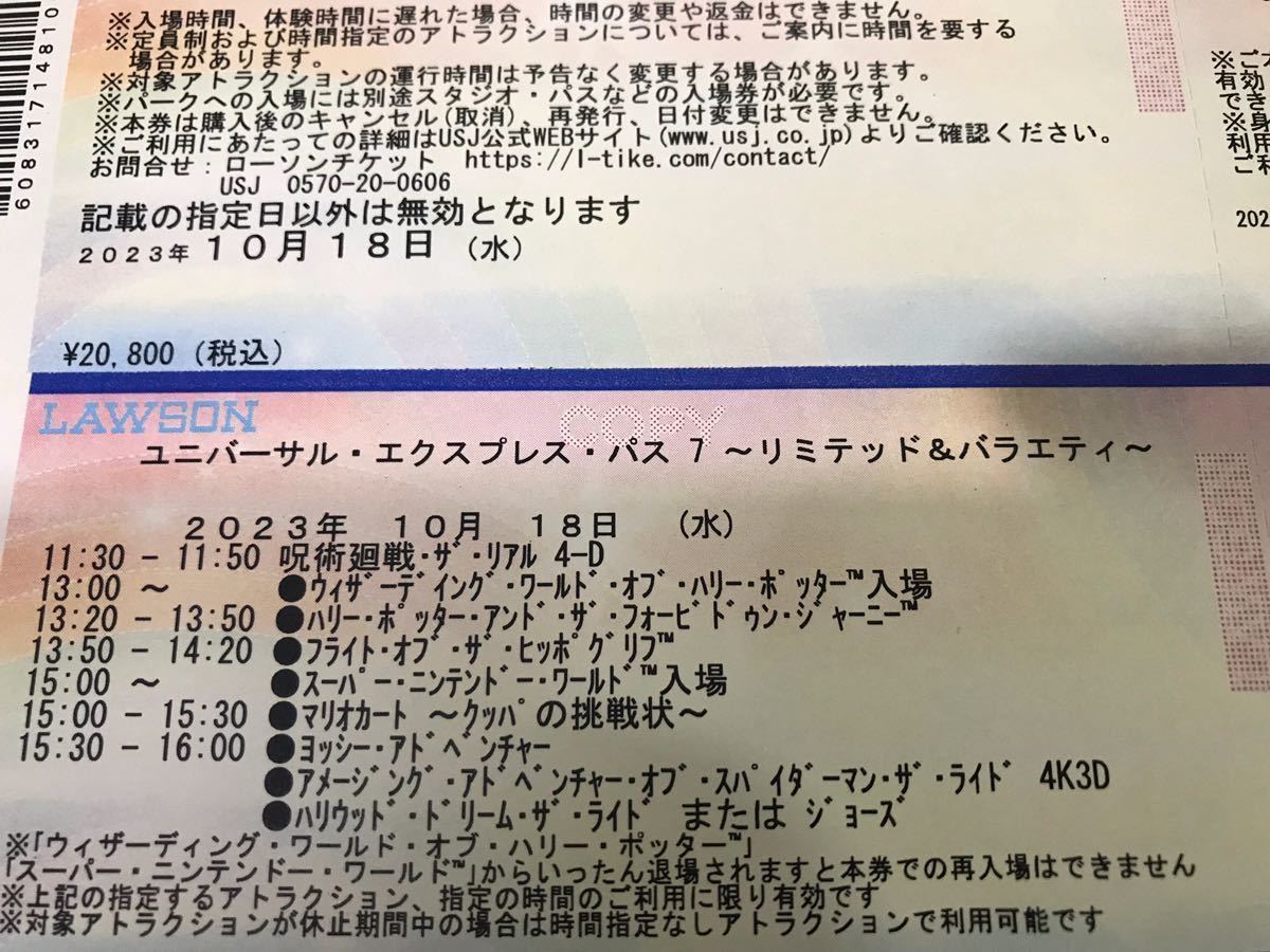 2枚セット月日USJ 任天堂エリア ニンテンドーワールド