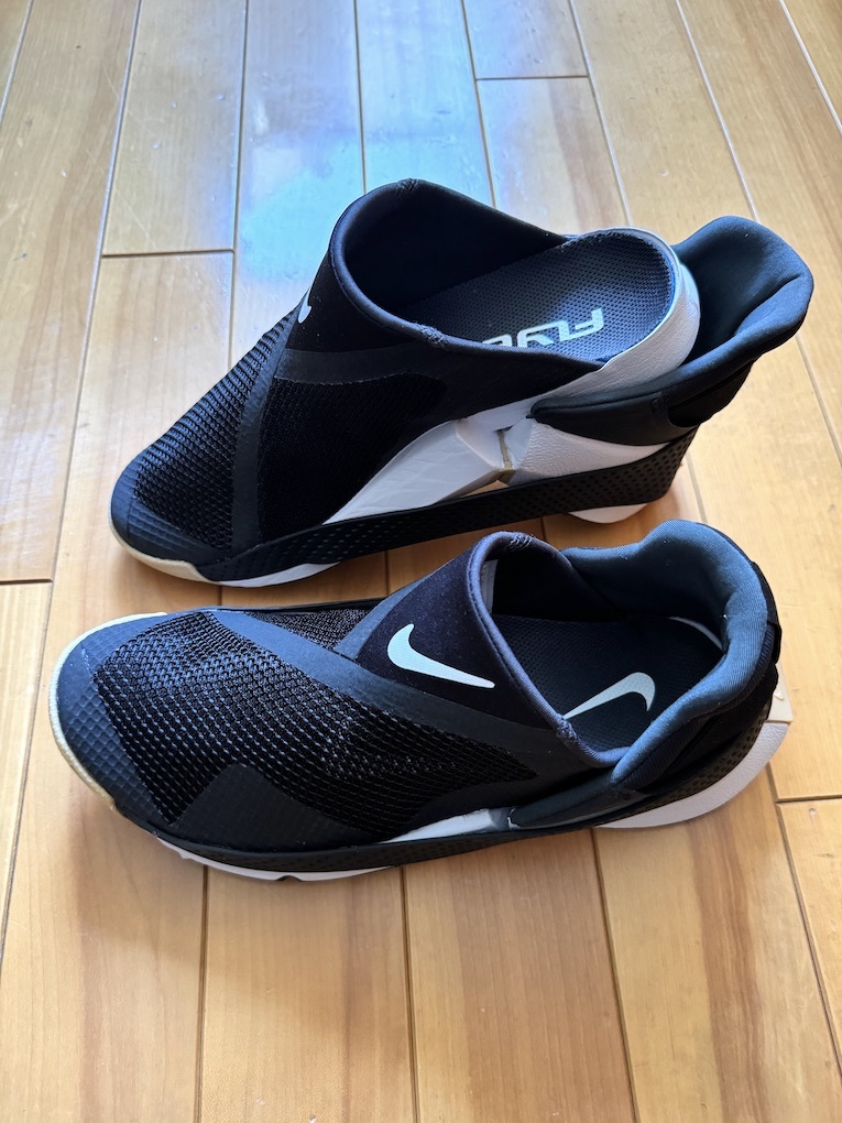 Nike Go Fly Ease ナイキ ゴー フライイーズ (ウィメンズ 24.0 cm・US