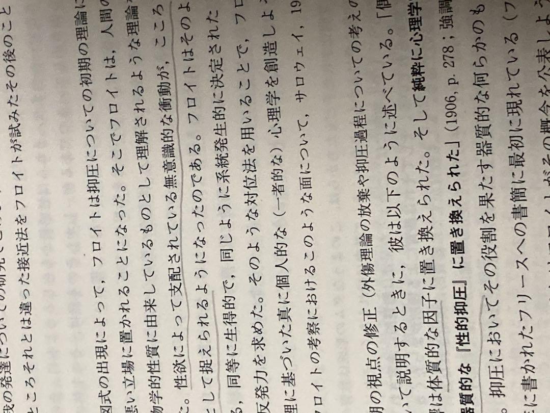 精神分析理論の展開―欲動から関係へ