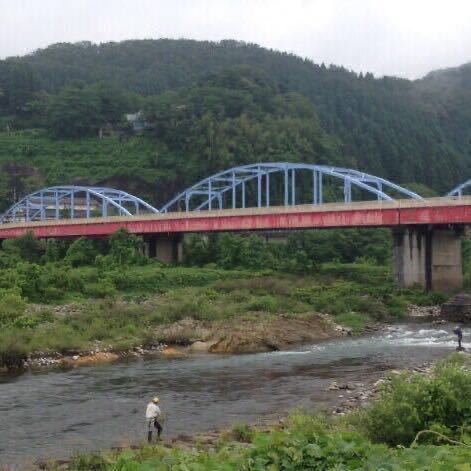 越中富山の庄川天然鮎　約2600g　53匹 　10月中旬獲り 井戸にて丸一日砂抜き、糞出し済み_庄川