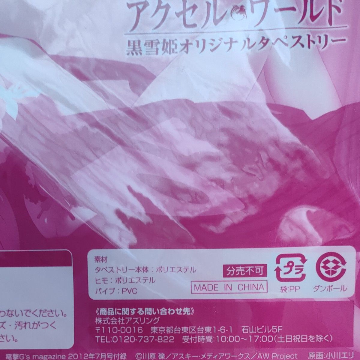 電撃G'sマガジン アクセルワールド 黒雪姫 オリジナルタペストリー 付録