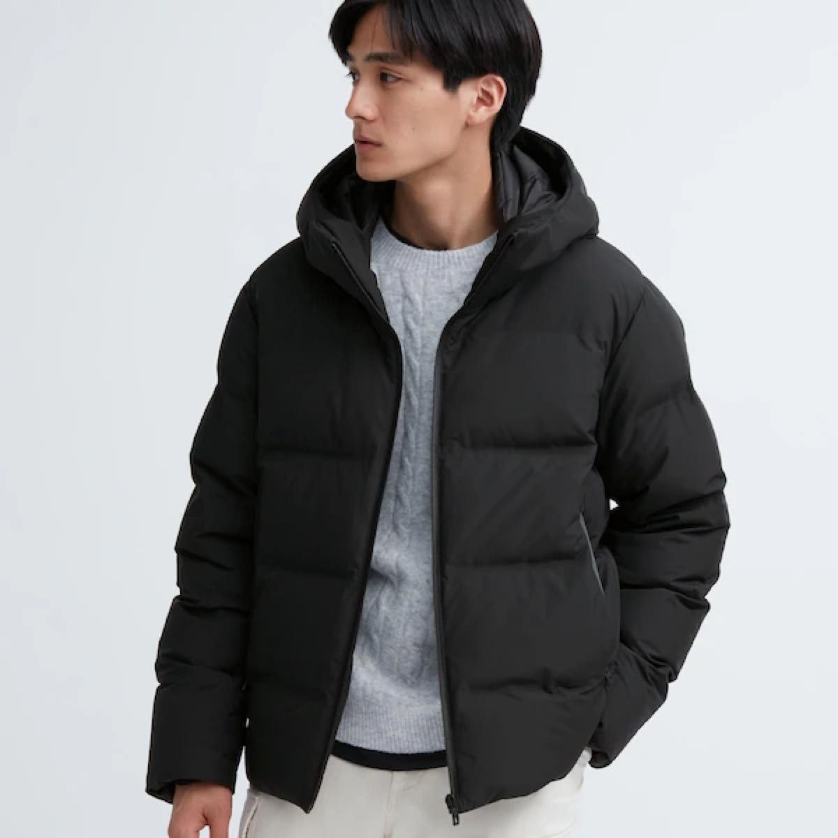 UNIQLO ユニクロ 2023 シームレスダウンパーカ(3Dカット)L UNIQLO ユニクロ 2023 シームレスダウンパーカ(3Dカット)L