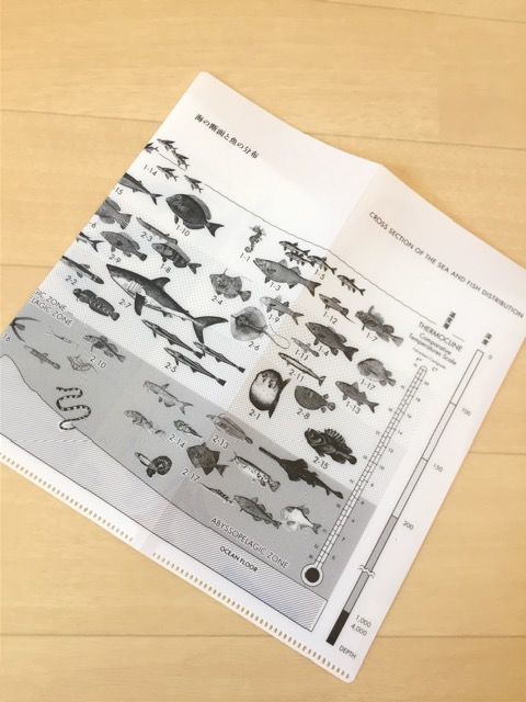 サカナクション 魚図鑑の値段と価格推移は 110件の売買情報を集計したサカナクション 魚図鑑の価格や価値の推移データを公開 サカナクション 魚図鑑の値段と価格推移は 110件の売買情報を集計したサカナクション 魚図鑑の価格や価値の推移データを公開