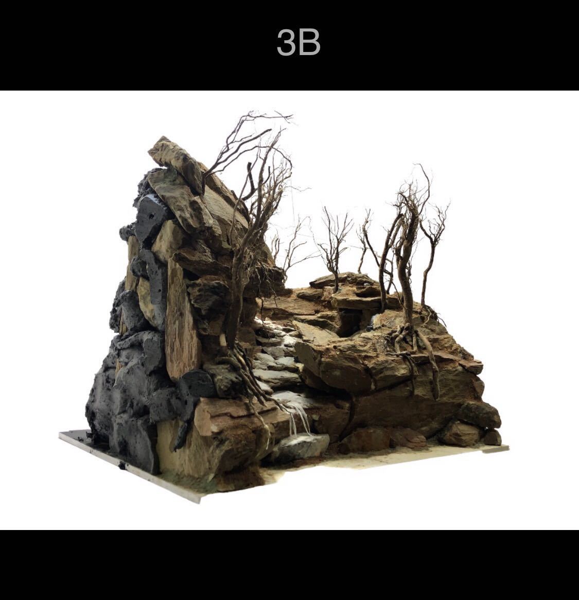 3B【マツヨシワールド】時を超えた森の魔法：木化石のアクアリウムレイアウト_画像2