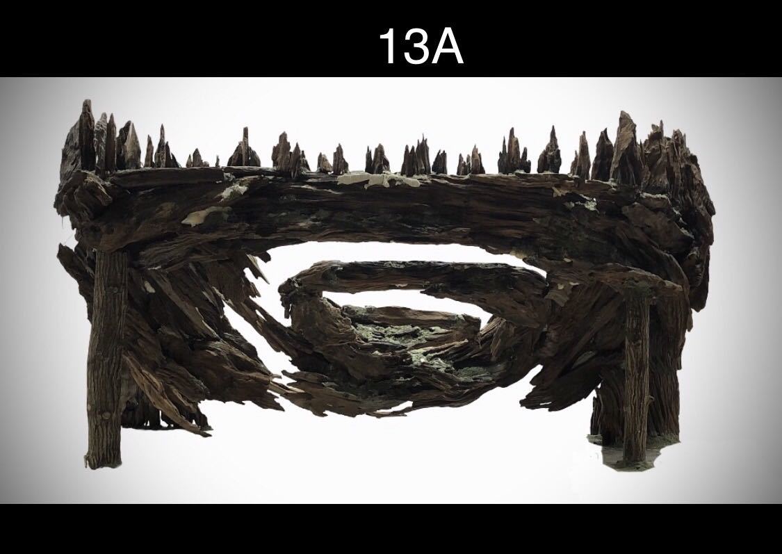【オンリーワン品】森の螺旋幻想: 90センチ水槽の魔法的アクアレイアウト_画像9