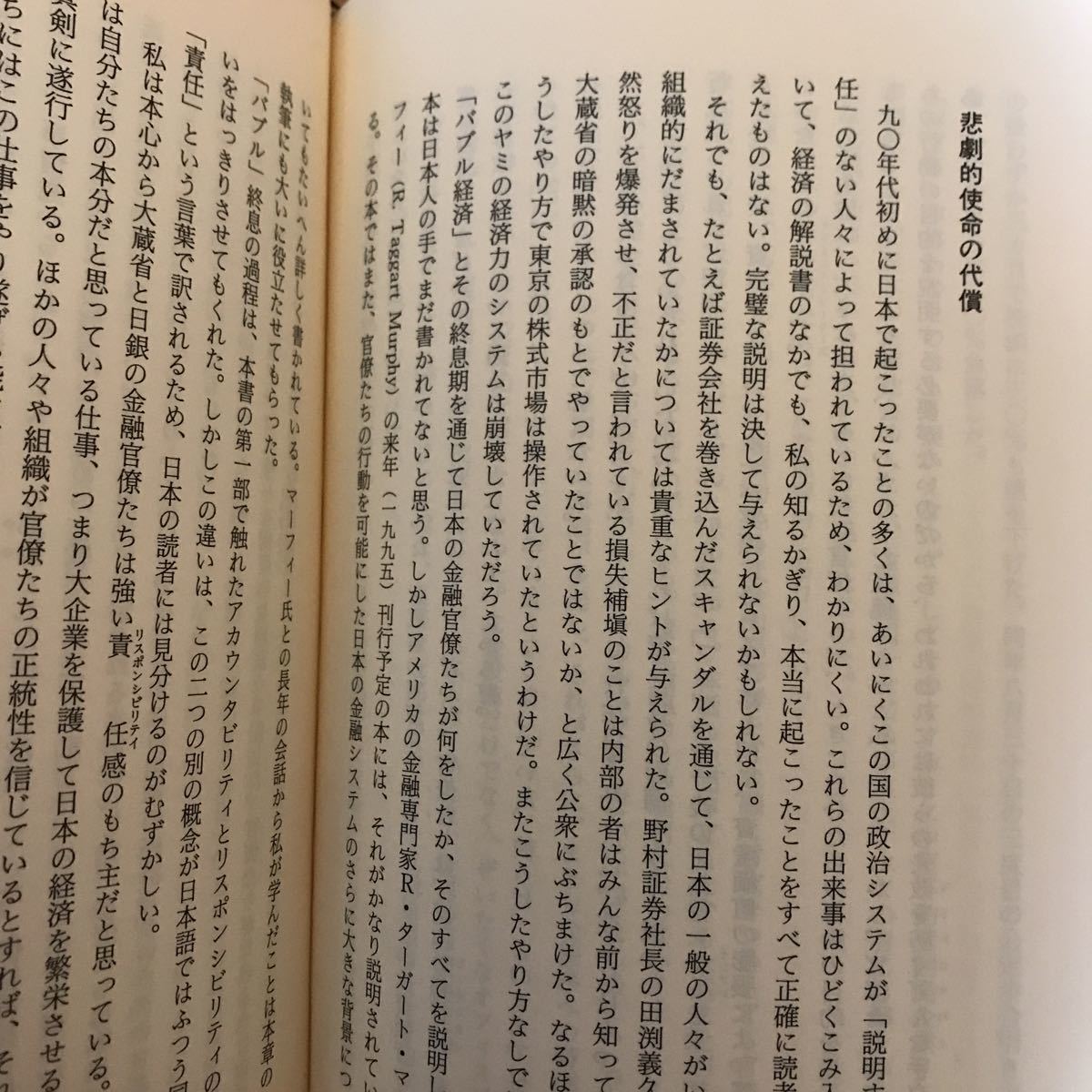 17c 人間を幸福にしない日本というシステム　カレル・ヴァン・ウォルフレン　毎日新聞社　1995年発行_画像8