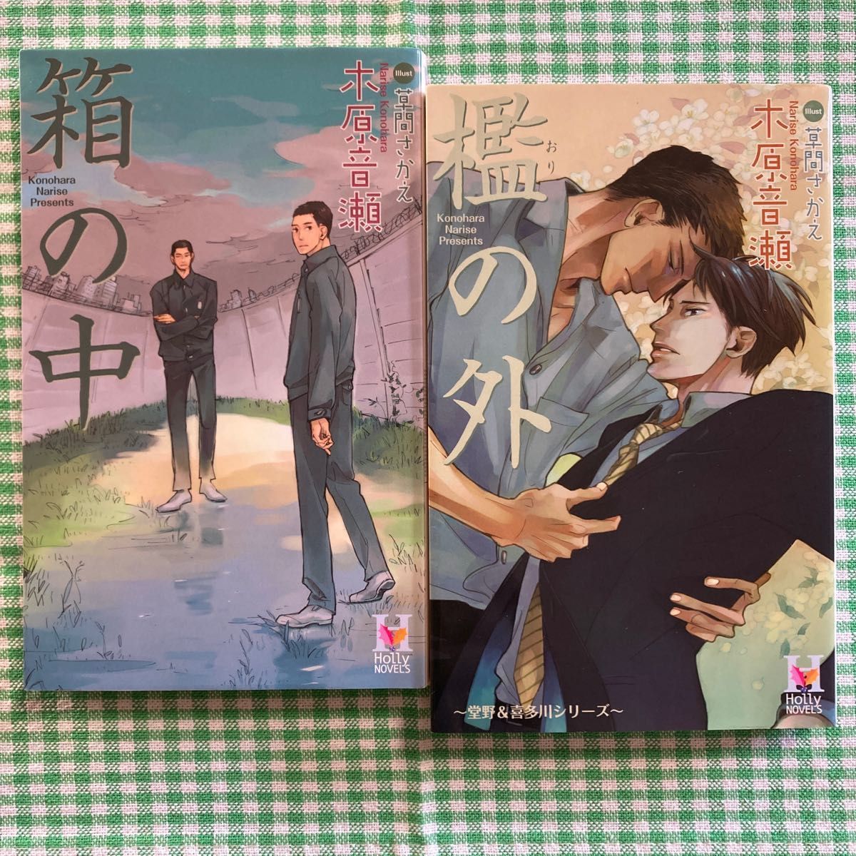 箱の中』『檻の外』全2冊セット BL小説 木原音瀬 - 文学・小説 箱の中』『檻の外』全2冊セット BL小説 木原音瀬 - 文学・小説