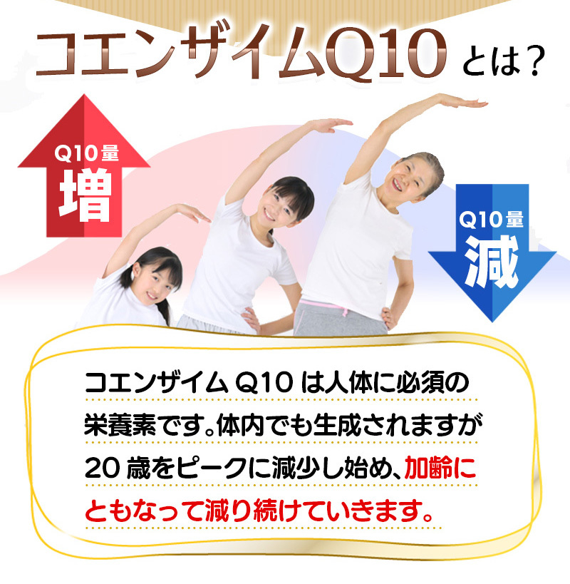 コエンザイムQ10 サプリ60粒 2袋セット計120粒 約2か月分2粒あたりCoQ10 60mg配合燃焼系サプリのカルニチンやαリポ酸と相性抜群_画像5