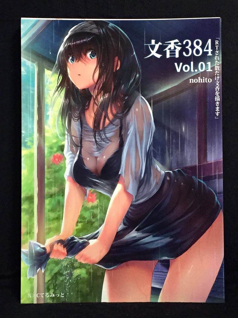 【C0225】　N×Cてるみっと 文香384 Vol.01 シンデレラガールズ(アイマス)　同人誌_画像1