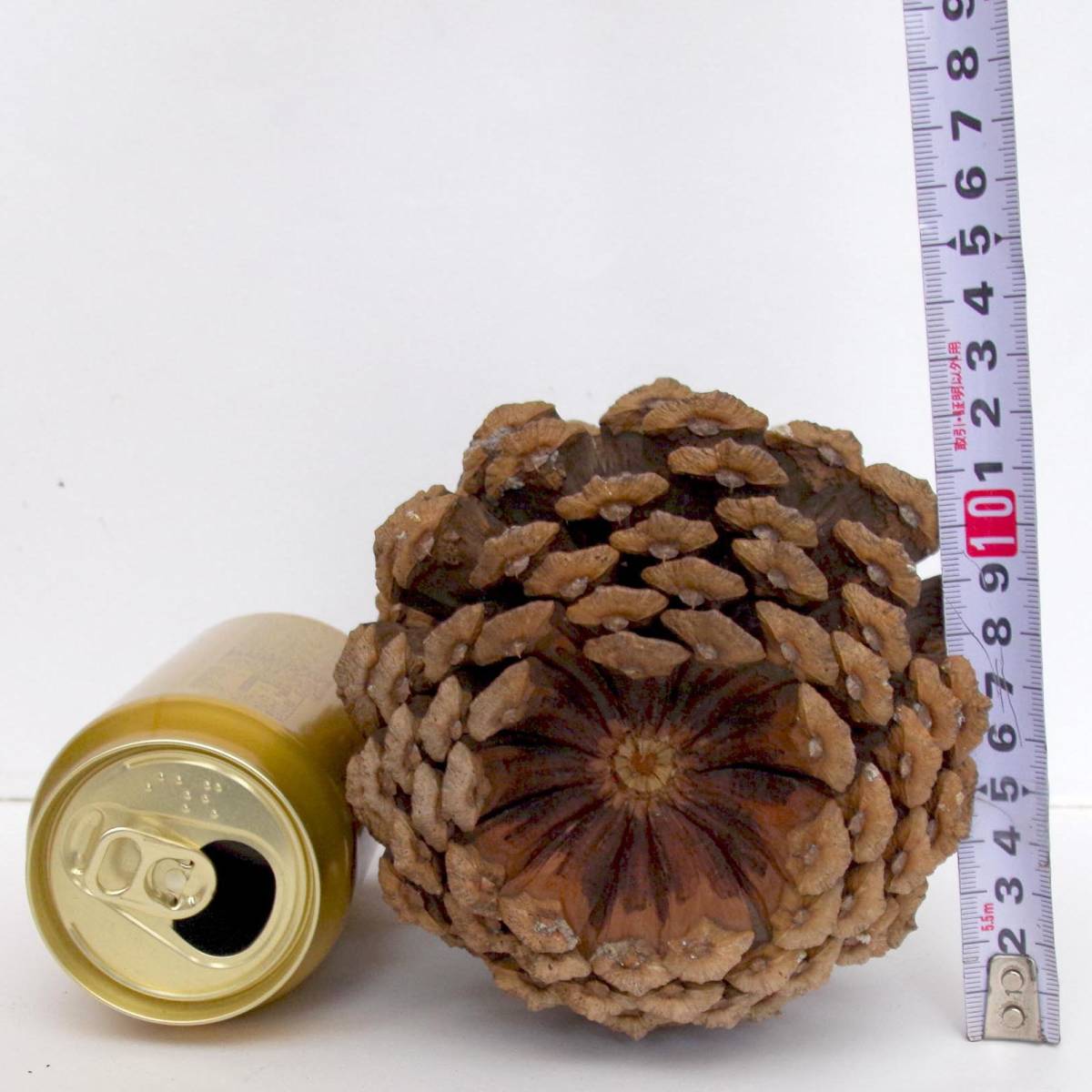  approximately 18.5 centimeter the great pine extra-large pine ....# Halloween * Christmas * New Year * decoration * ornament large pine .... huge pine umbrella #3