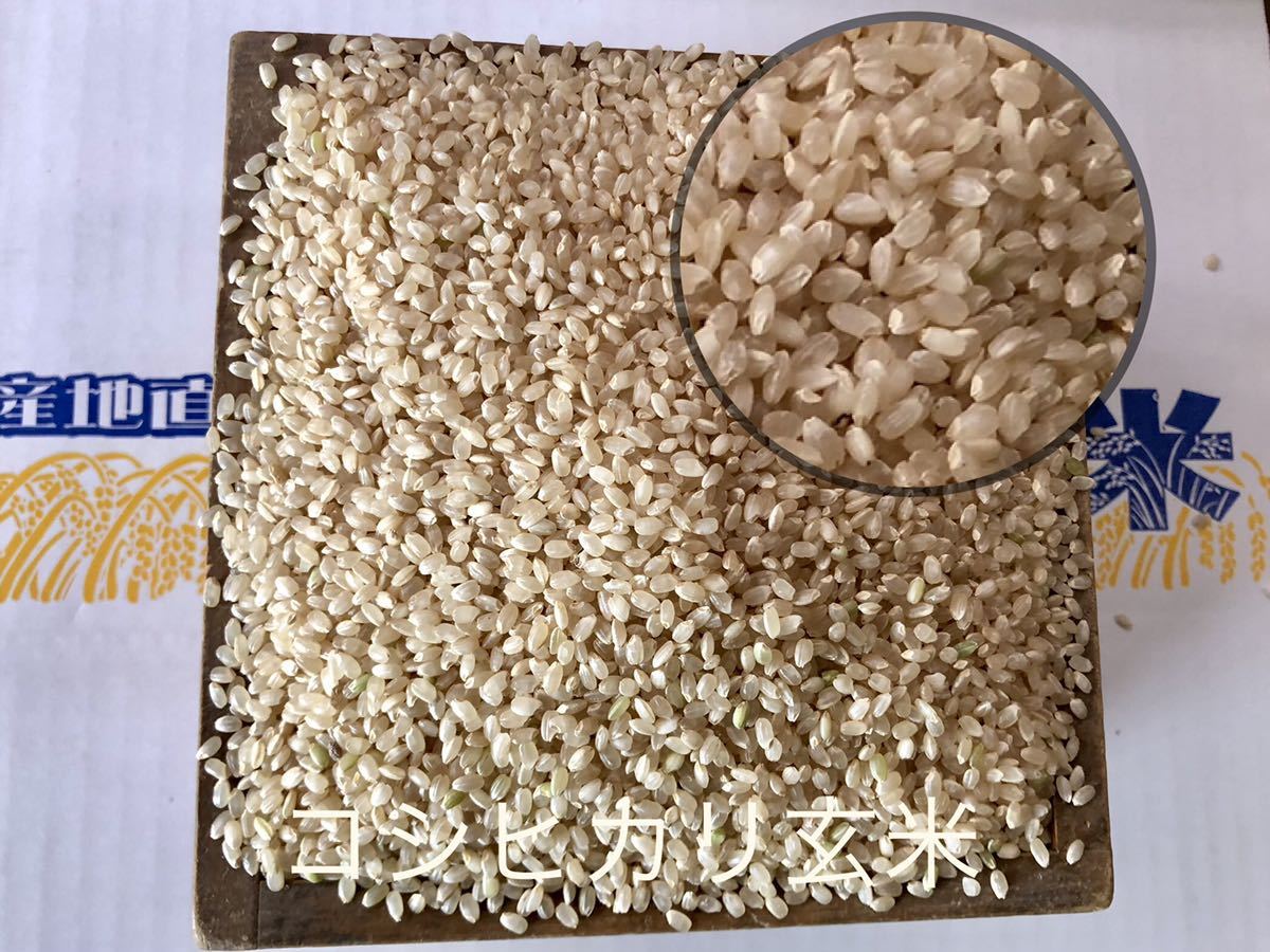  production person from direct delivery ~* new rice . peace 5 year Nagano prefecture production Koshihikari brown rice 10kgdojou, howe nen shrimp,sawagani. .. rice field ..~ one etc. rice 