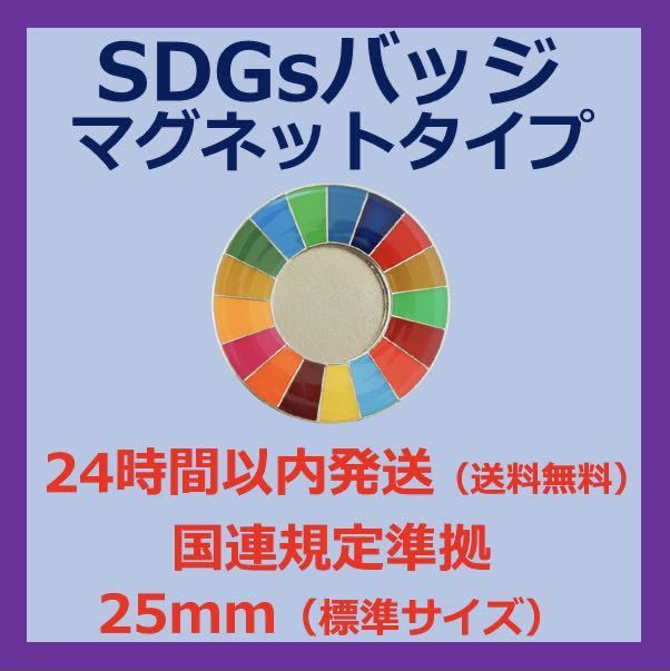 SDGsカラーホイールバッジ　マグネットタイプ_画像1