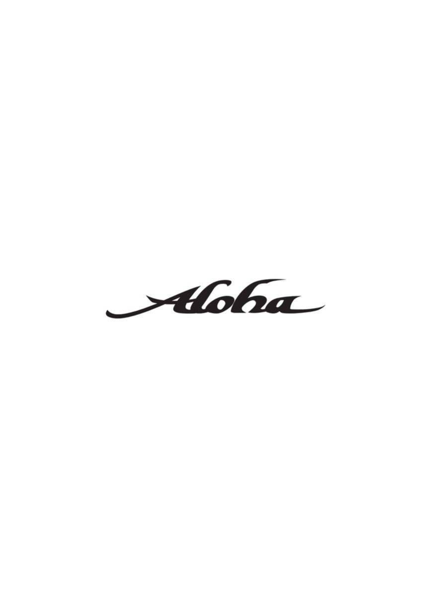 【新品未使用!】Aloha surfboard FUN÷MID 6.0 ECOSKIN オーストラリア　バイロンベイ　サーフィン　サーフボード ミッドレングス_画像8