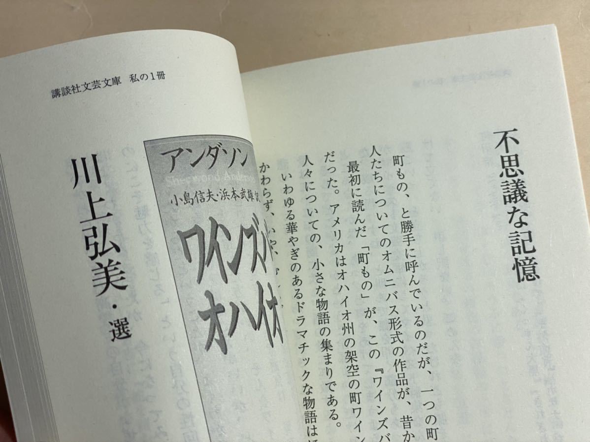 講談社文芸文庫創刊30周年　私の一冊　村上春樹　朝吹真理子　蓮實重彦　柴田元幸　川上未映子_画像5