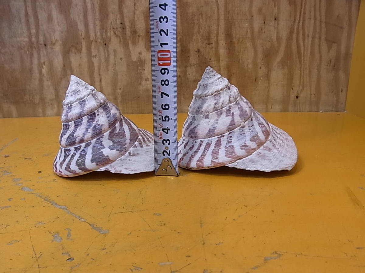 item_image_10